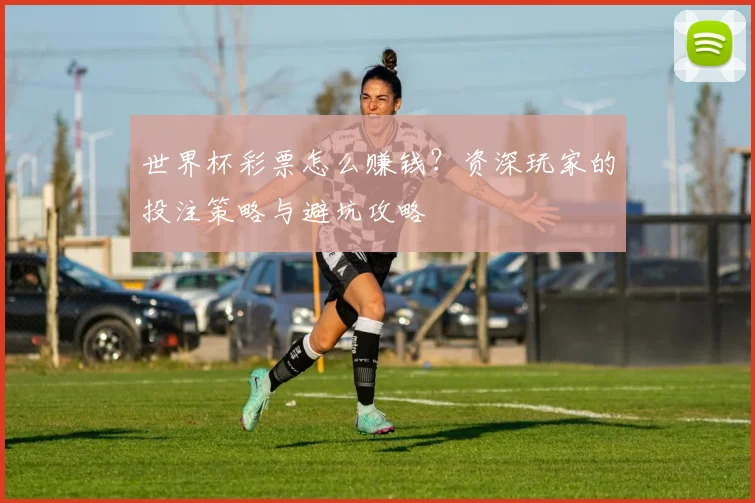 世界杯彩票怎么赚钱?资深玩家的投注策略与避坑攻略