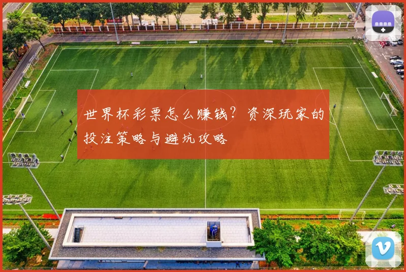 世界杯彩票怎么赚钱?资深玩家的投注策略与避坑攻略